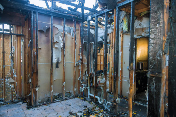 Professional Soot Cleanup technician working in Lincoln Park, MI
